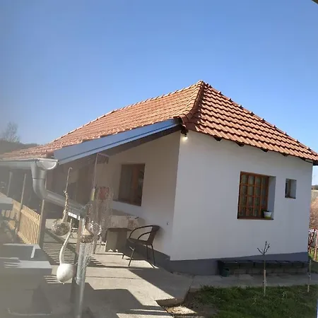 Seosko Turisticko Domacinstvo Milka Cacak