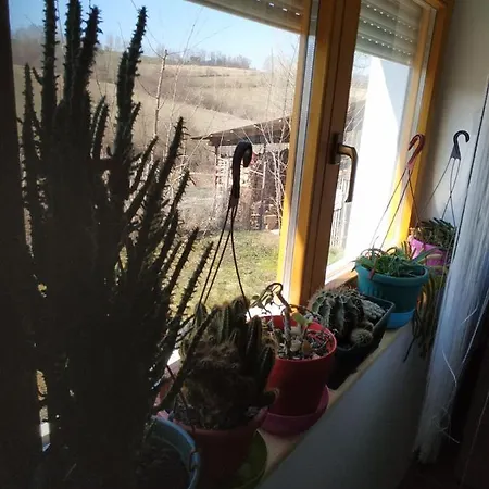 Appartement Seosko Turisticko Domacinstvo Milka *