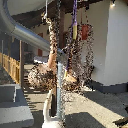 Seosko Turisticko Domacinstvo Milka Lejlighed