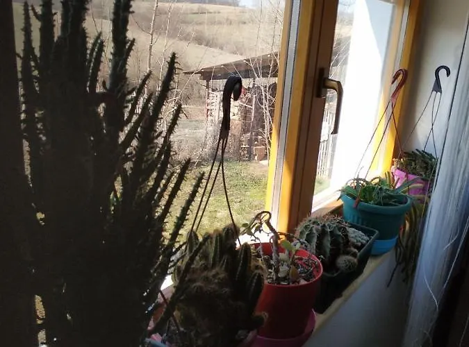 Appartement Seosko Turisticko Domacinstvo Milka *