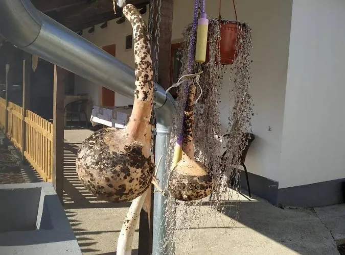 Seosko Turisticko Domacinstvo Milka Lejlighed