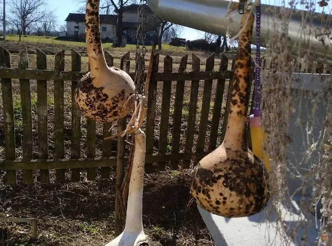 Seosko Turisticko Domacinstvo Milka Appartement